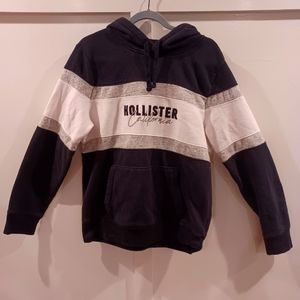 Hollister Men's Pullover sweatshirt ( Embroidered )